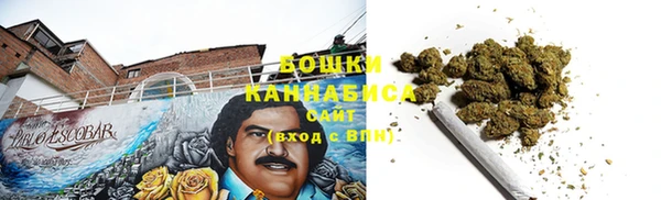 ПСИЛОЦИБИНОВЫЕ ГРИБЫ Алексеевка