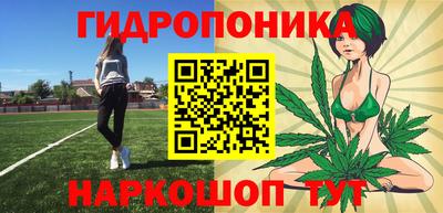 стафф Кинель