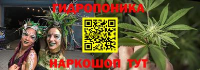 стафф Кинель