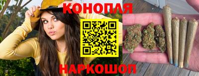 стафф Кинель