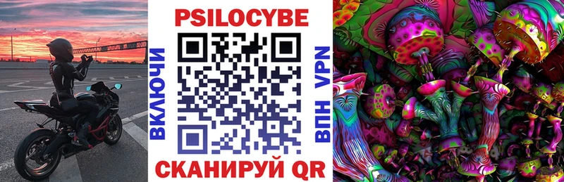 где можно купить   мега   Галлюциногенные грибы ЛСД  Карачаевск 
