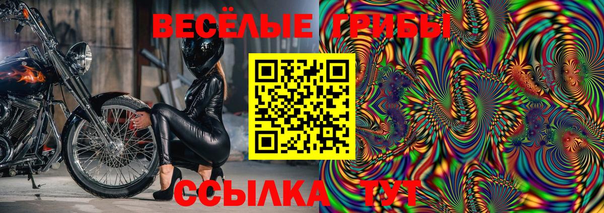 Псилоцибиновые грибы GOLDEN TEACHER Карачаевск